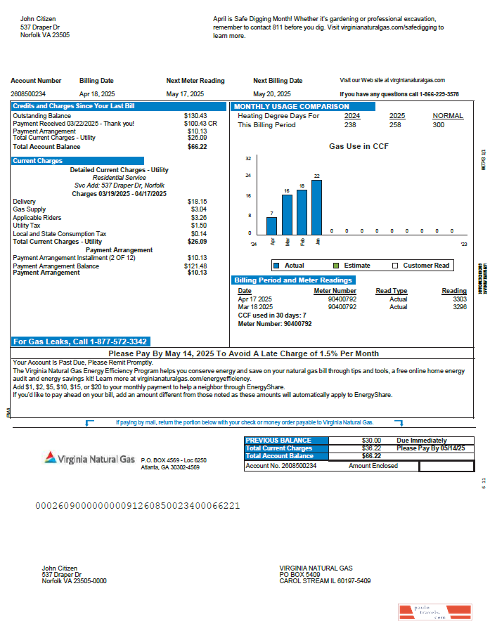 USA Virginia Natural Gas utility bill template in Word and PDF formats